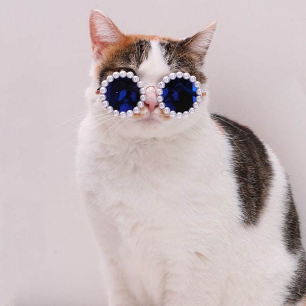 Cat Solbriller Pearl Glaesses SORT-L SORT-L Black-L