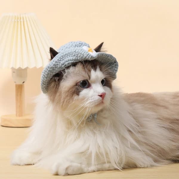 Katthatt Valp Husdjursmössa MSTYLE 2 STYLE 2 MStyle 2