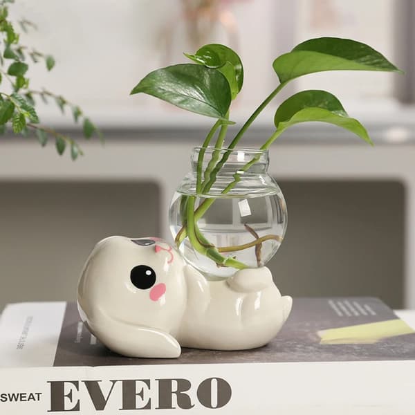 Hydroponiske Plantevaser Transparent Glassvase C C C