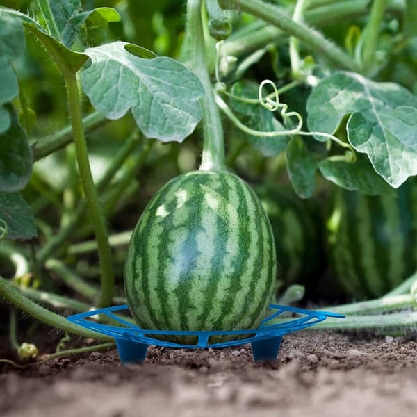 Vannmelonstativ Ramme Grønnsaker Hagestativ BLÅ Blue