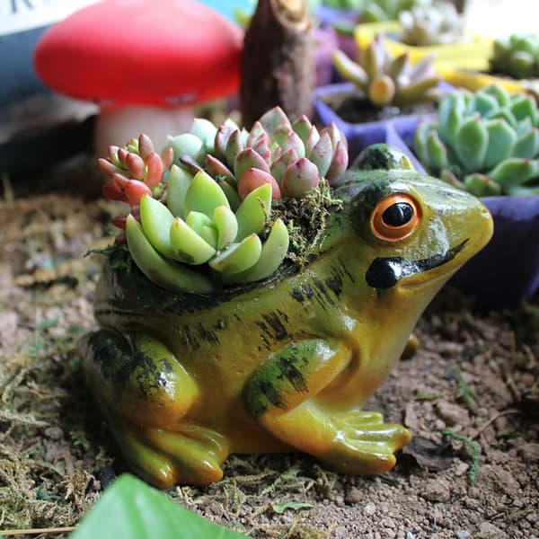 Blomkruka Planteringskärl