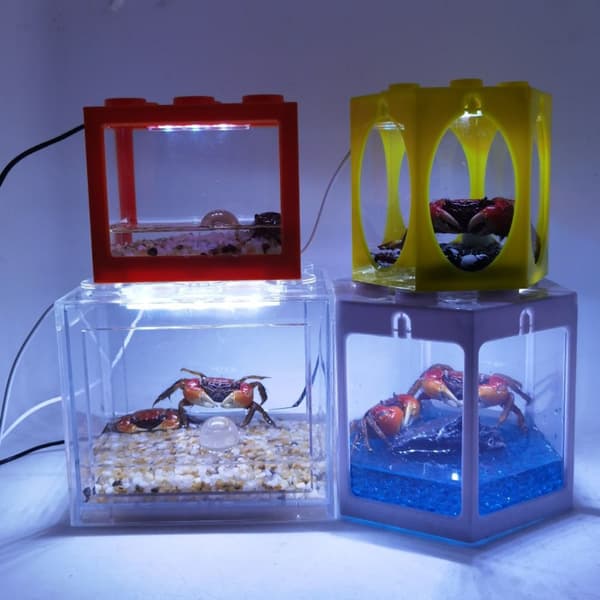 Betta Fisk Tank Byggeklods Akvarium HVID RECTANGLE white rectangle-rectangle