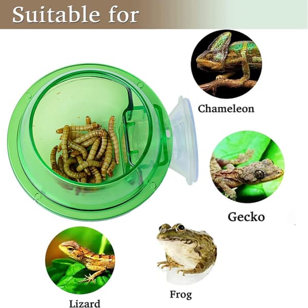 2 stk. Reptil Foder Vandskål Plantekop