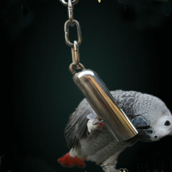 Heavy Duty Bird Cage Leksaker Squirrel Bell Parrot Toys