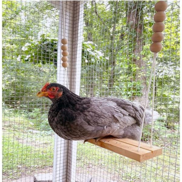 Chicken Swing Lelu Ahven Tikkaat Puiset tarvikkeet