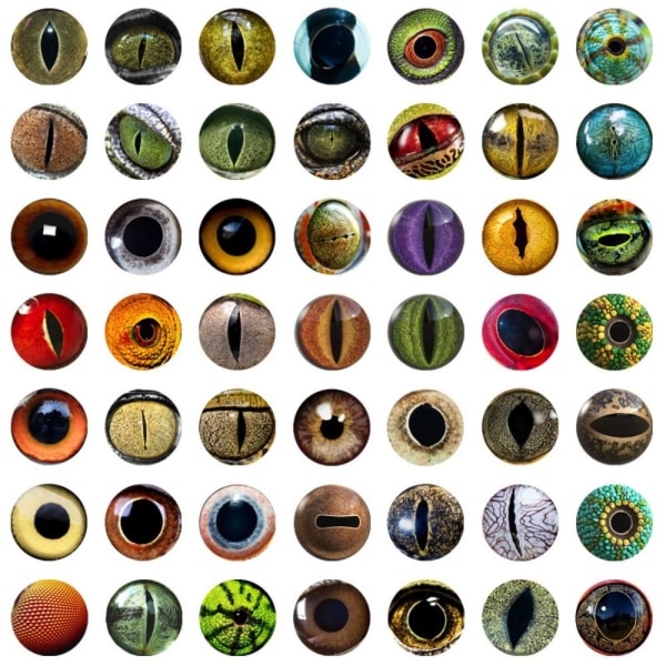 20 stk/10 par Eyes Crafts Eyes Puppet Crystal Eyes 10MMCOLOR 10mmcolor Random