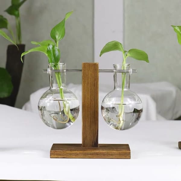 Transparent Pære Vase Hydroponisk Plantebeholder B (EKSKLUDERER B(Excluding plants)