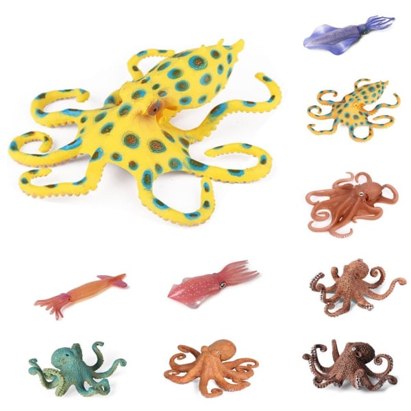 Marine Molluscs Model Simulation Squid Octopus 06 06 06