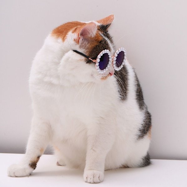 Cat Solbriller Pearl Glaesses MULTICOLOUR-S MULTICOLOUR-S Multicolour-S