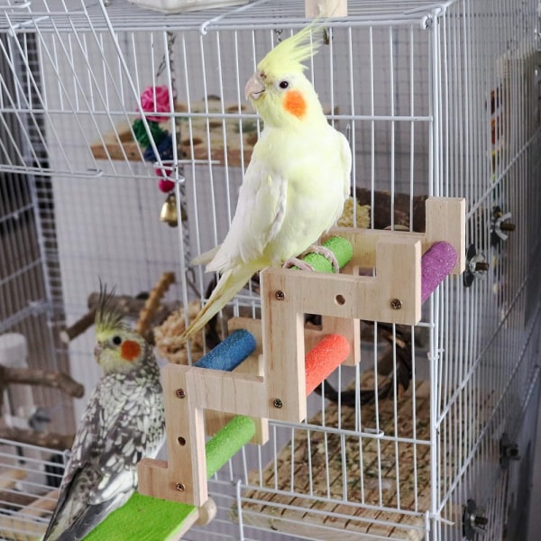 Papegøyeklatreleketøy Fugleklatrestige Swing Parakeet Cage
