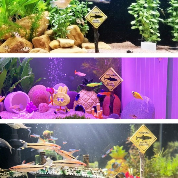 Akvariumdekorasjon Shark Advarselsskilt C C C