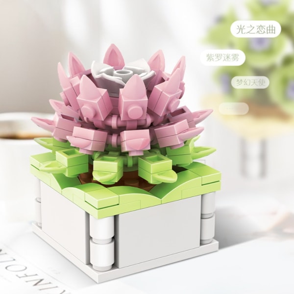 Suckulent byggstensblomma F F F