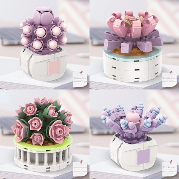 Sukkulent byggestensblomst C C C