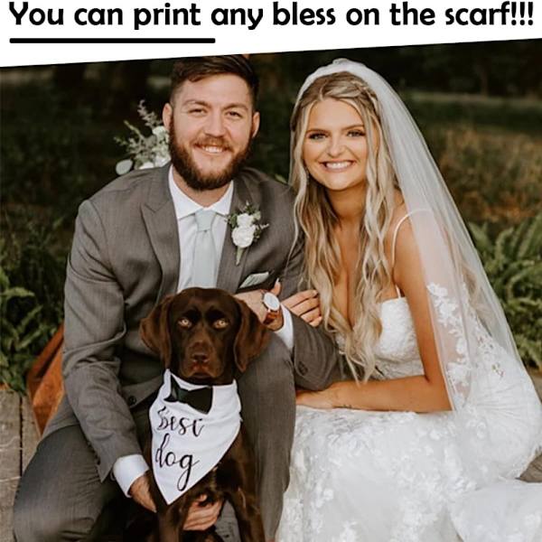 Koiran bandanas Koiran huivi Koiran tarvikkeet