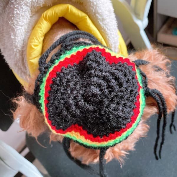 Strikket Hue Dreadlocks Pirat