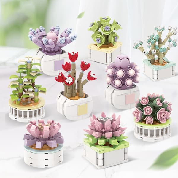 Sukulent Byggekloss Blomster D D D
