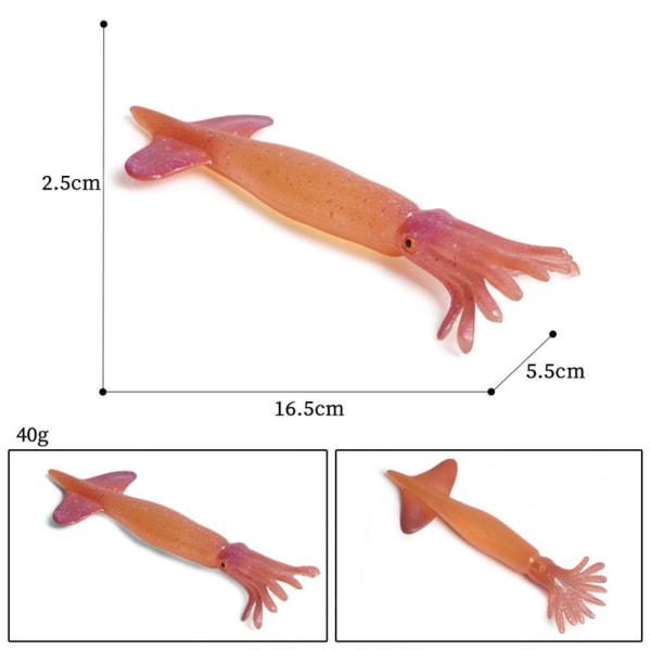 Marine Molluscs Model Simulation Squid Octopus 04 04 04