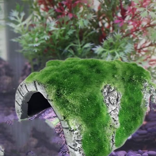 Akvarium Dekor Gjemmested Huler Hul
