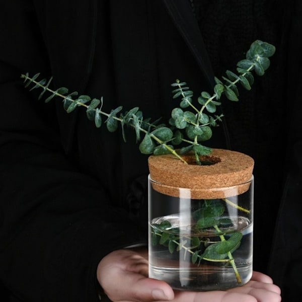 Hydroponisk Blomsterpotte Hjem Glasvase E E E