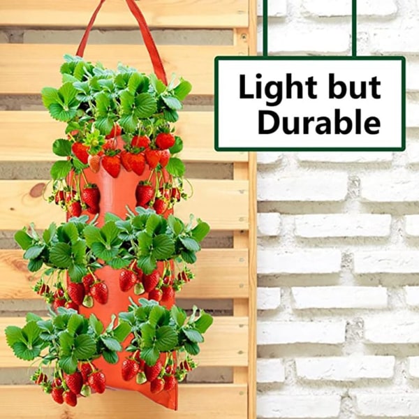 Plant Grow Bags Jordgubbsplanteringsbehållare ORANGE 4 HÅL 4 orange 4 Holes-4 Holes
