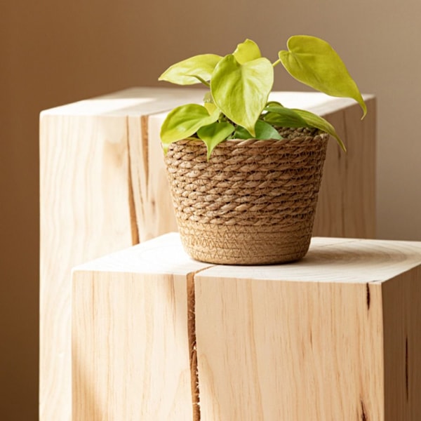 Blomkruka Flätad korg LITEN LITEN Small