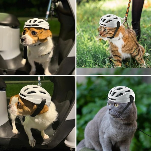 Koirakypärä Kissakypärä Lemmikkikypärä