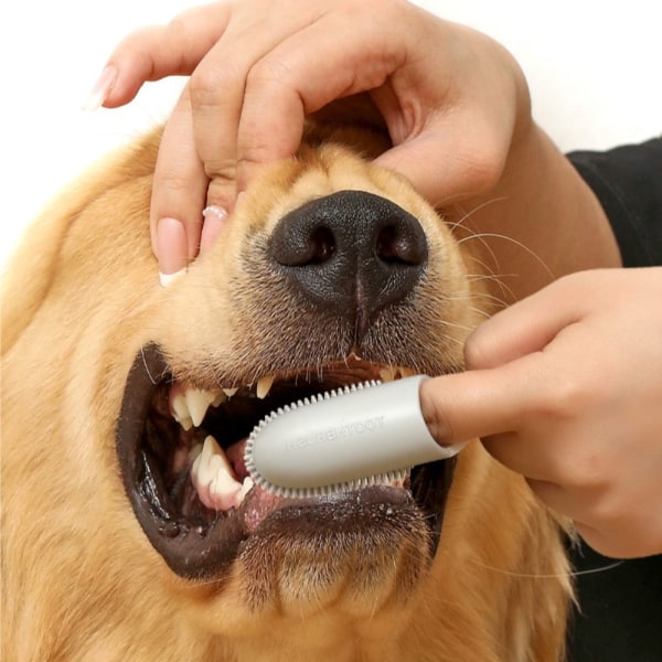 3 STK Hundetænder Rensesæt Pet Finger Tandbørste Kit Holdbar