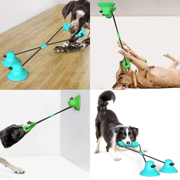 Hundeleker Tyggleker for hund BLÅ Blue