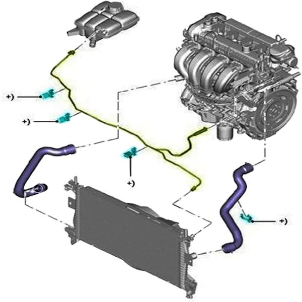 1 stk. Radiator Reservoir Slange Slange Slangeudskiftning