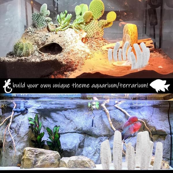 2 STK Dinosaurknogler Slangeskjulestedshule Naturligt Skjulested