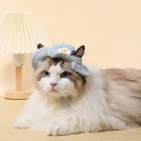 Kattelue Valpehette MSTYLE 4 STYLE 4 MStyle 4