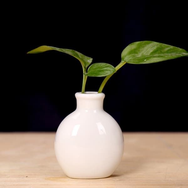 Blomstervase Plantepotte HVIT white