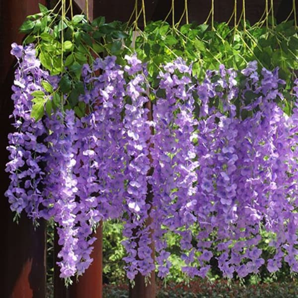 Simuleret Wisteria Tofu budding 4 4 4
