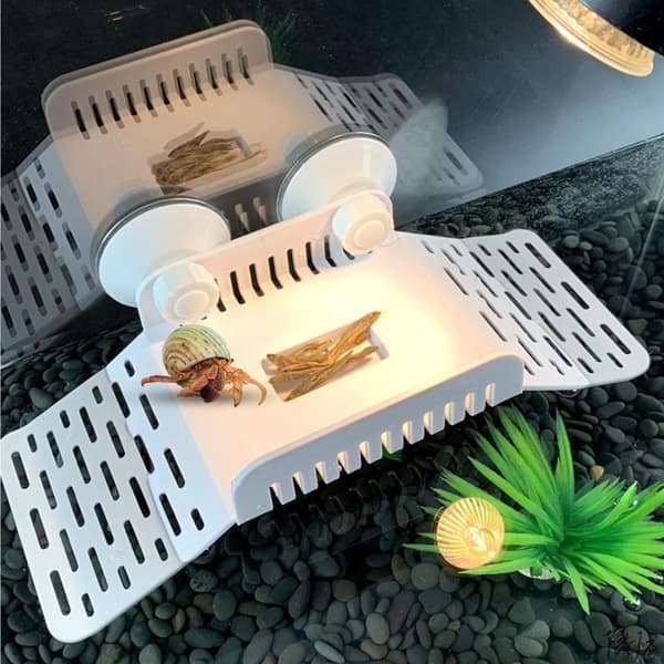 Terrapin Trapezoid Terrace - Erakkoravun ramppilelu