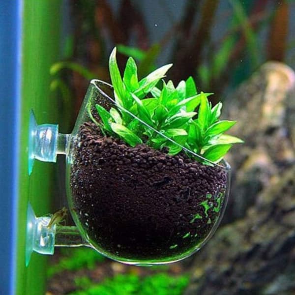 4 stk. planteholder til akvarium