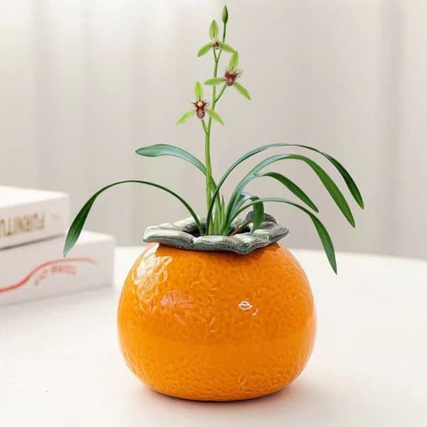 Blomkruka SPERSIMMON PERSIMMON SPersimmon