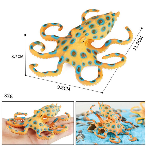Marine Molluscs Model Simulation Squid Octopus 07 07 07