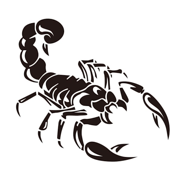 2 kpl 3D Scorpion auton konepellin tarroja auton koritarroja