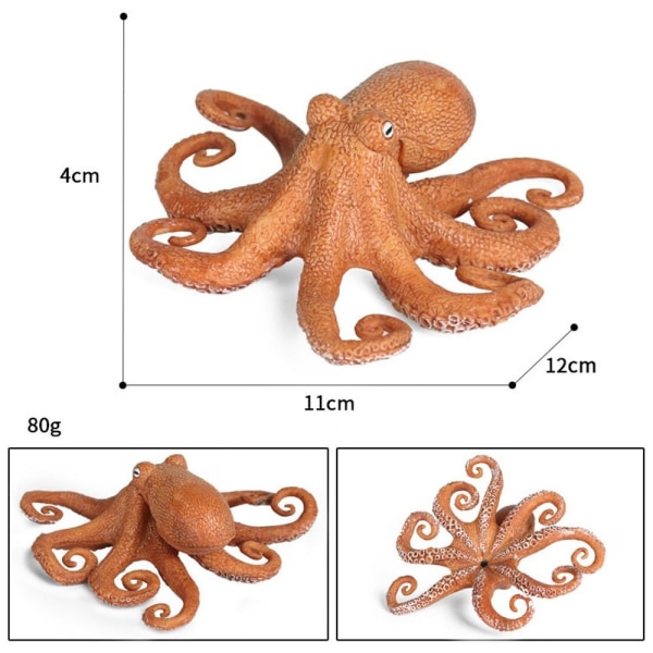 Marine Molluscs Model Simulation Squid Octopus 02 02 02