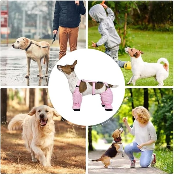 Dog Paw Boot Justerbar Hundesko XL XL