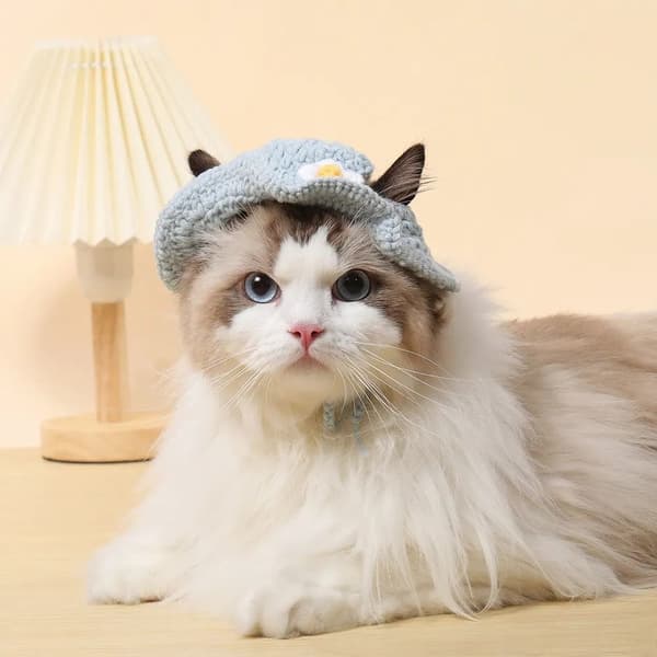 Katthatt Valp Husdjursmössa MSTYLE 2 STYLE 2 MStyle 2