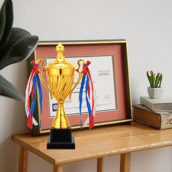 Trophy Awards Cupaward 32.5CM 32.5cm