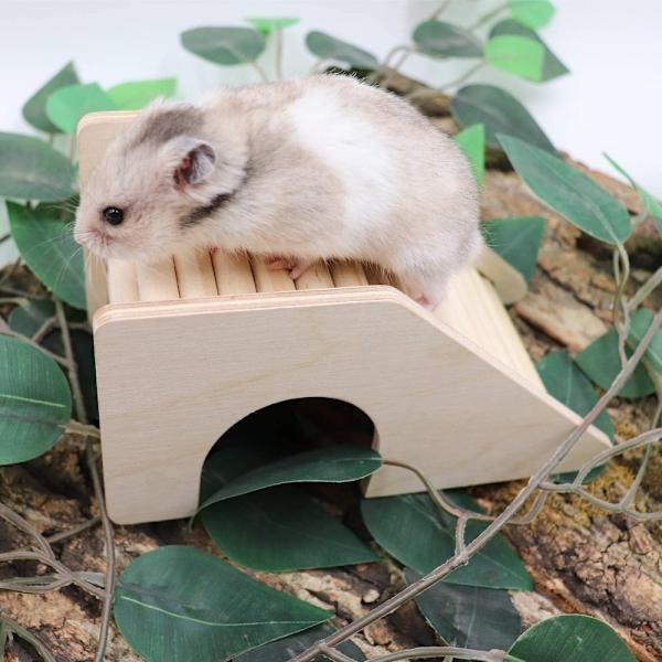 Hamster landskapstillbehör Hamster staket trappa leksak