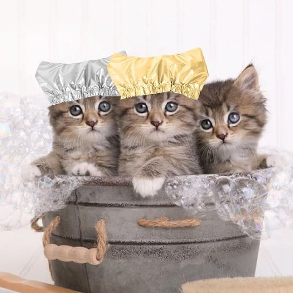 Kæledyrsbadehætte Kat Vandtæt Badehætte SØLV S Silver S