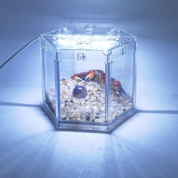 Betta Fisk Tank Byggeklods Akvarium HVID RECTANGLE white rectangle-rectangle
