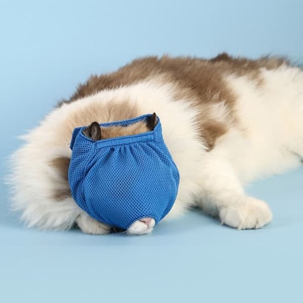 Kattemunnkurv Anti-biting Munnkurv
