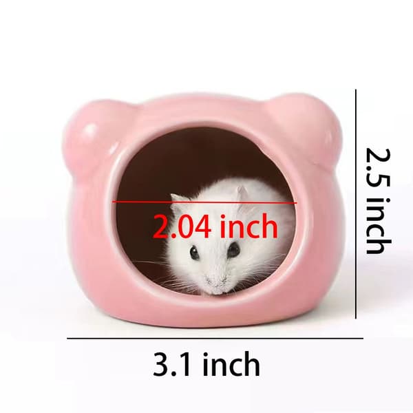 Hamsterkylbo Husdjurssovrum Husdjurssovbo
