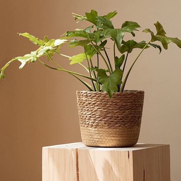 Blomkruka Flätad korg LITEN LITEN Small