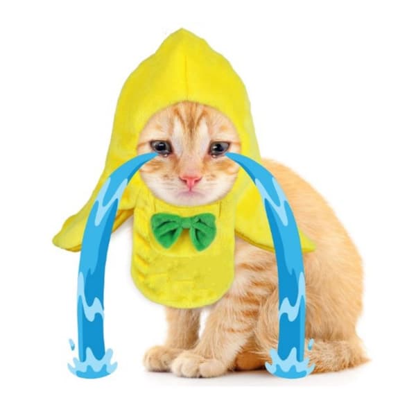 Kattdräkt Hundhatt Bananhatt