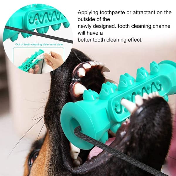 Hundleksaker Hundtuggleksaker GRÖN Green